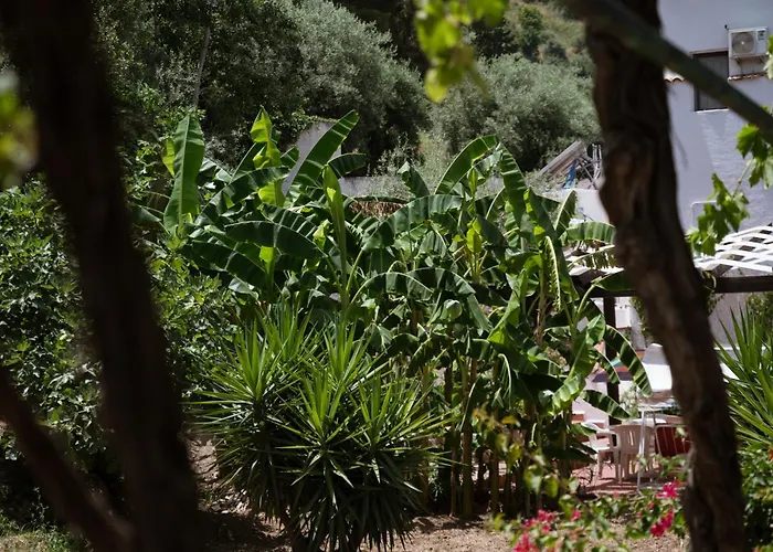 Franz's House - Connie's Heritage דירה